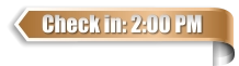 Check in: 2:00 PM