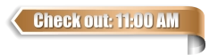 Check out: 11:00 AM