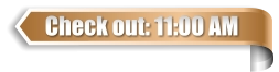Check out: 11:00 AM