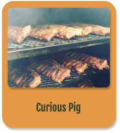 Curious Pig