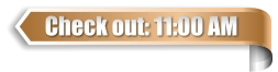 Check out: 11:00 AM