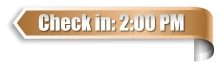 Check in: 2:00 PM