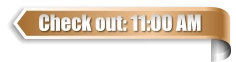 Check out: 11:00 AM
