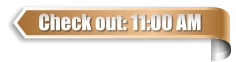 Check out: 11:00 AM