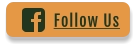 Follow Us